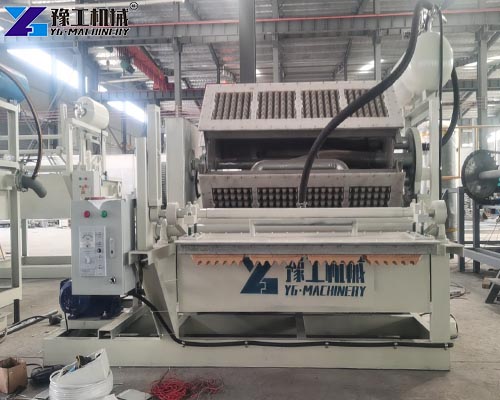egg tray maker machine at factory