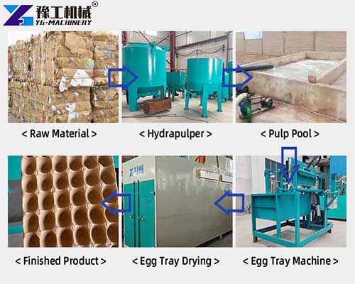 egg tray maker machine production process